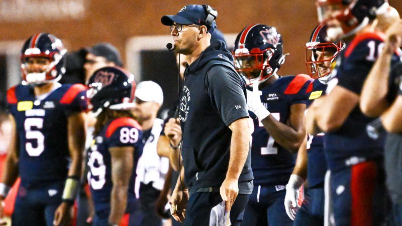 Métamorphose complète des Alouettes en juin